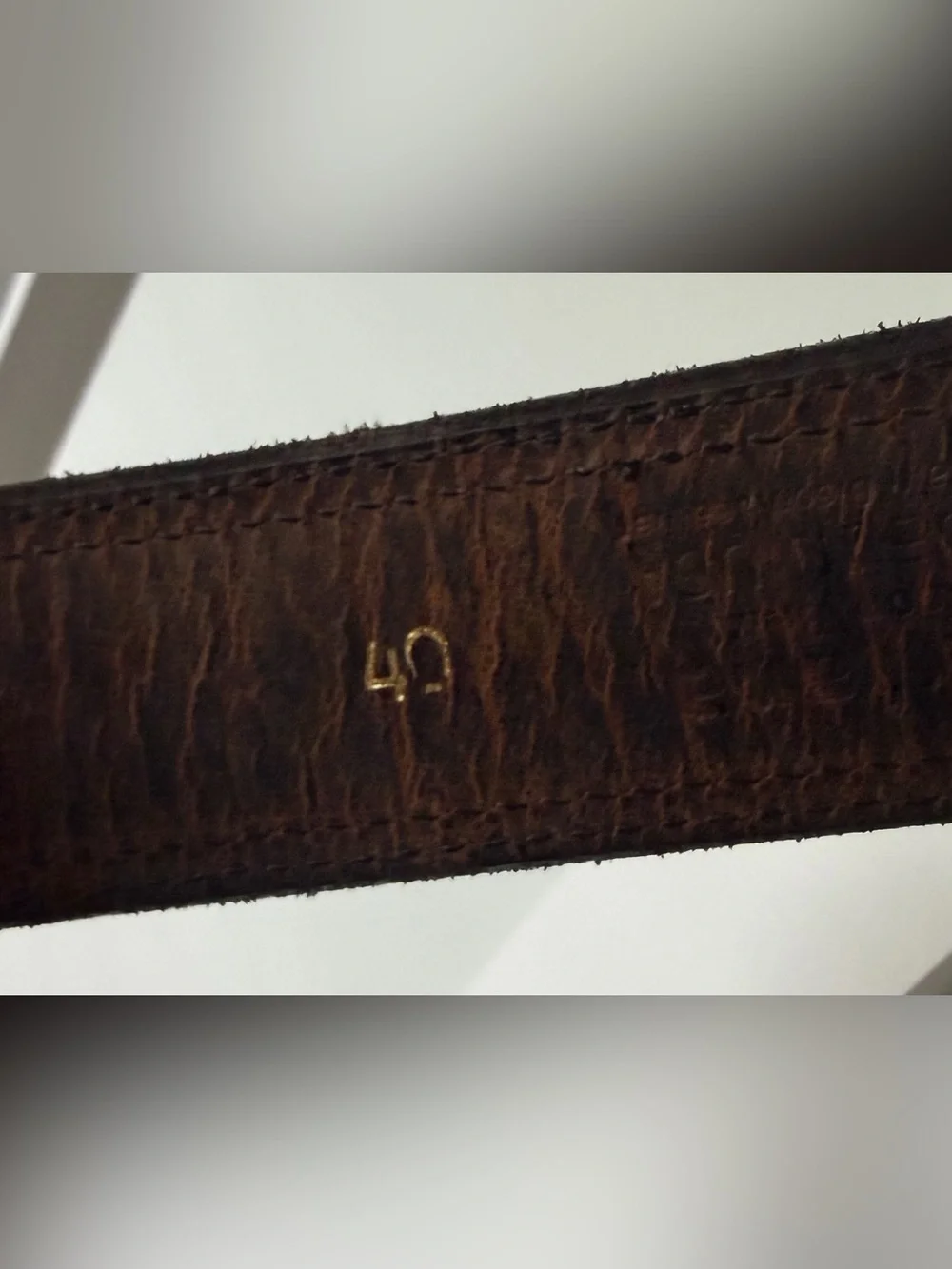 The Wyoming Bison belt